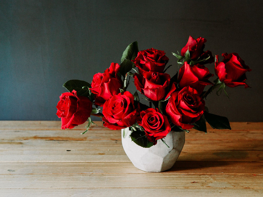 The Story of Roses