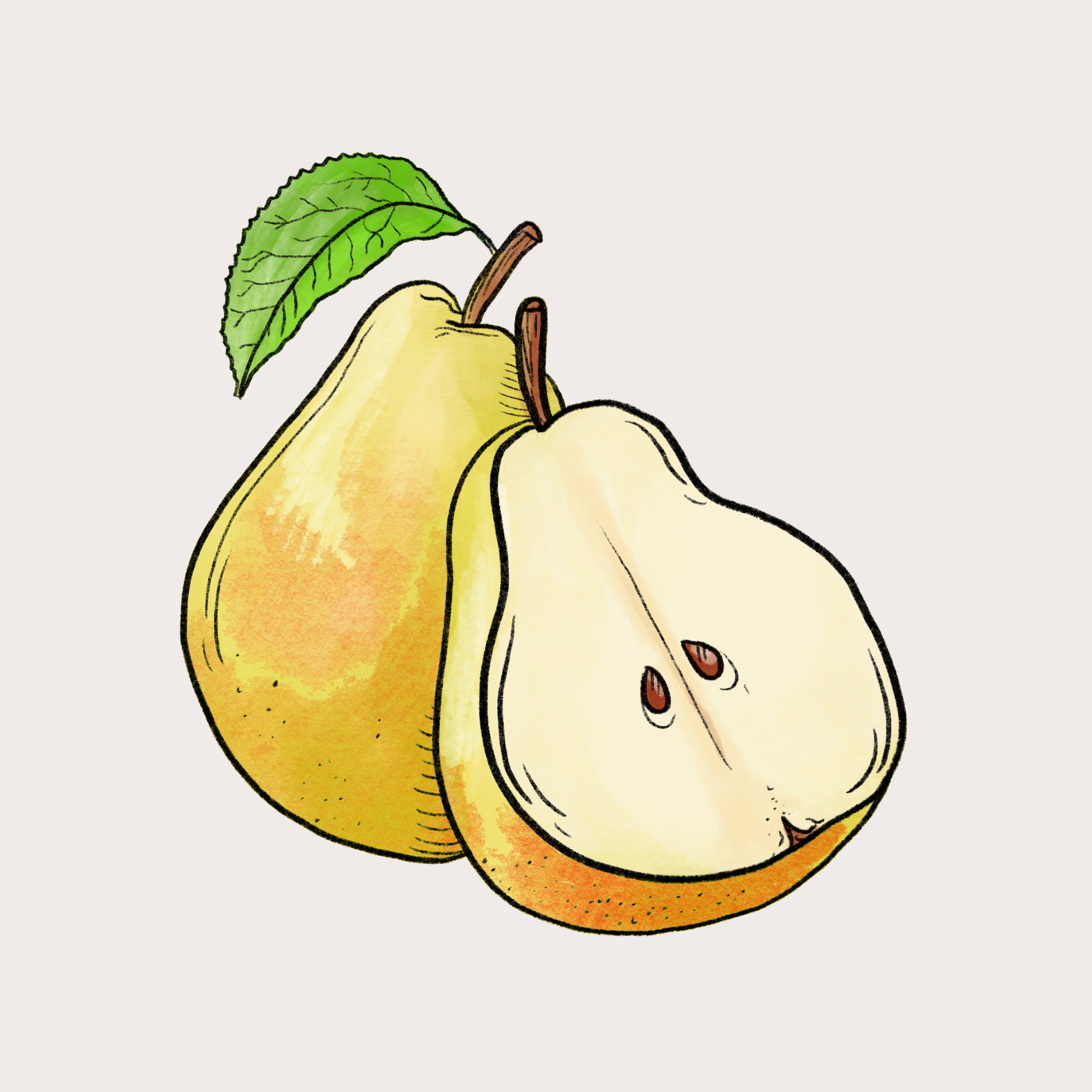 French Pear Soy Candle: Large