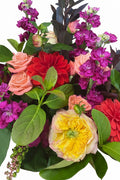 Florist Choice - Brights