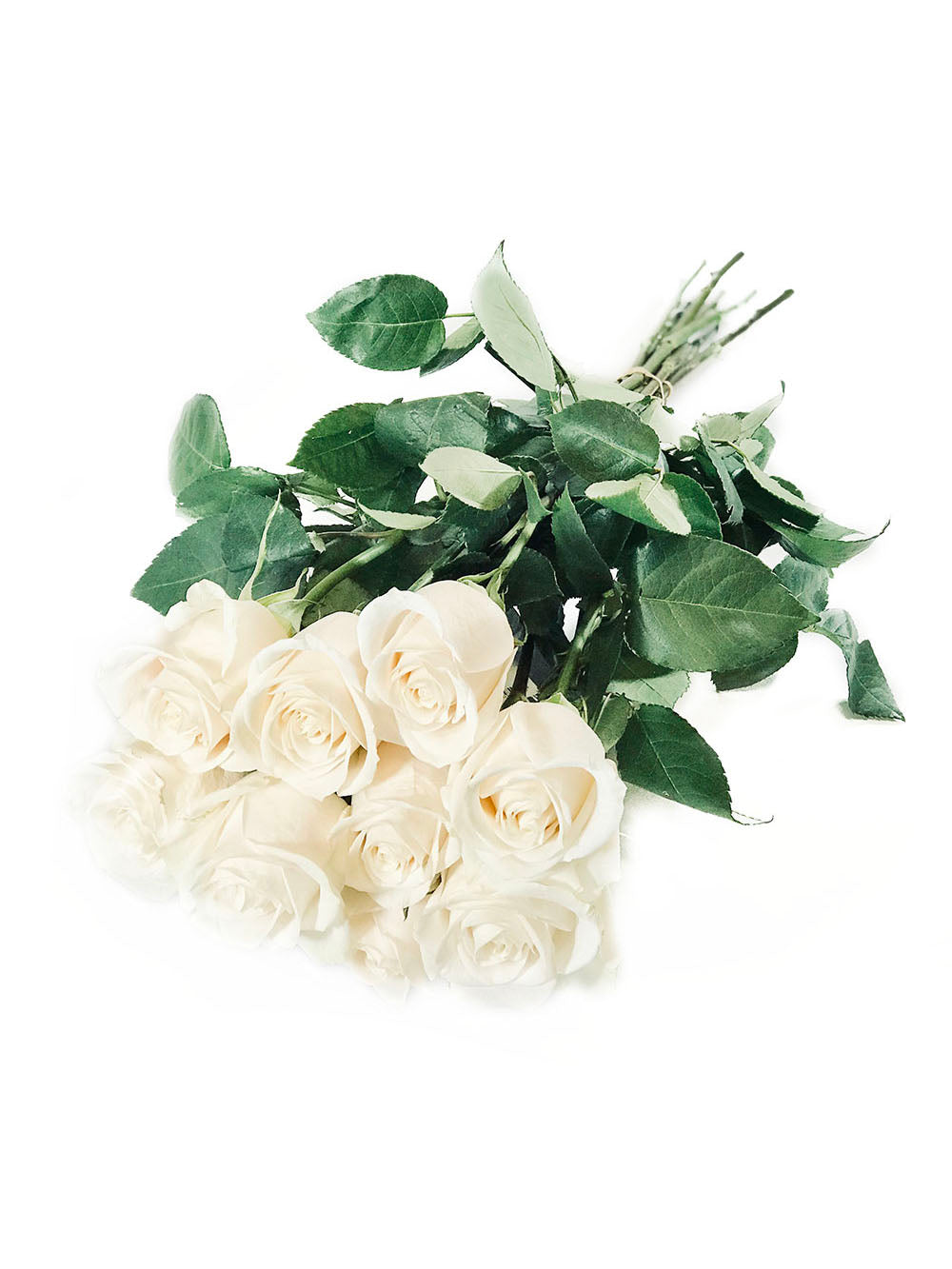 XPremium Rose Bouquet SOLD OUT